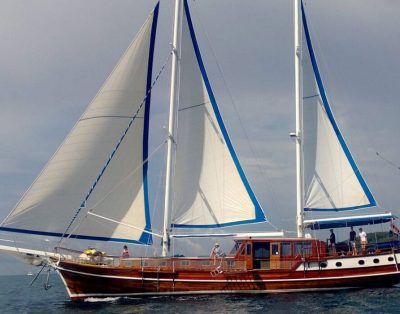 M/Y Andi Star