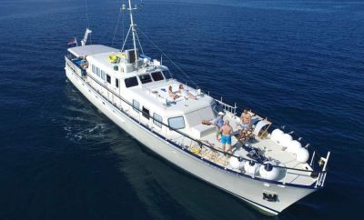 M/Y Play Fellow